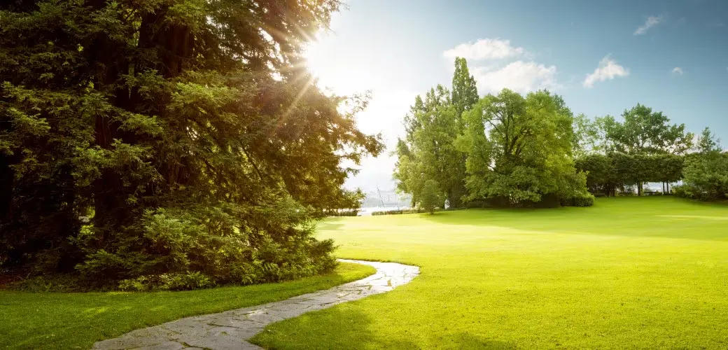 KK Dhanuka Estate Pvt. Ltd. - Manicured Green Parks